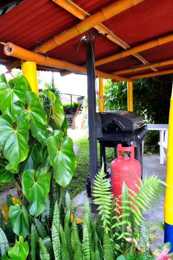 Casa Finca Villa Luz A 800 Mts Del Parque Del Cafe Montenegro Exteriér fotografie